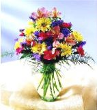 Festive Wishes Bouquet
