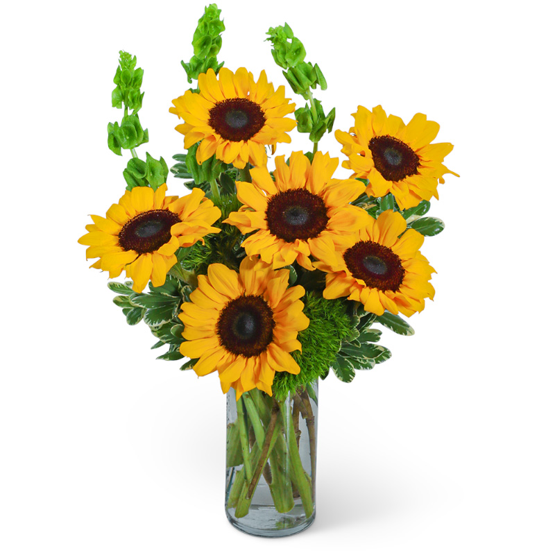 Sunflowers and Bells Keller & Stein