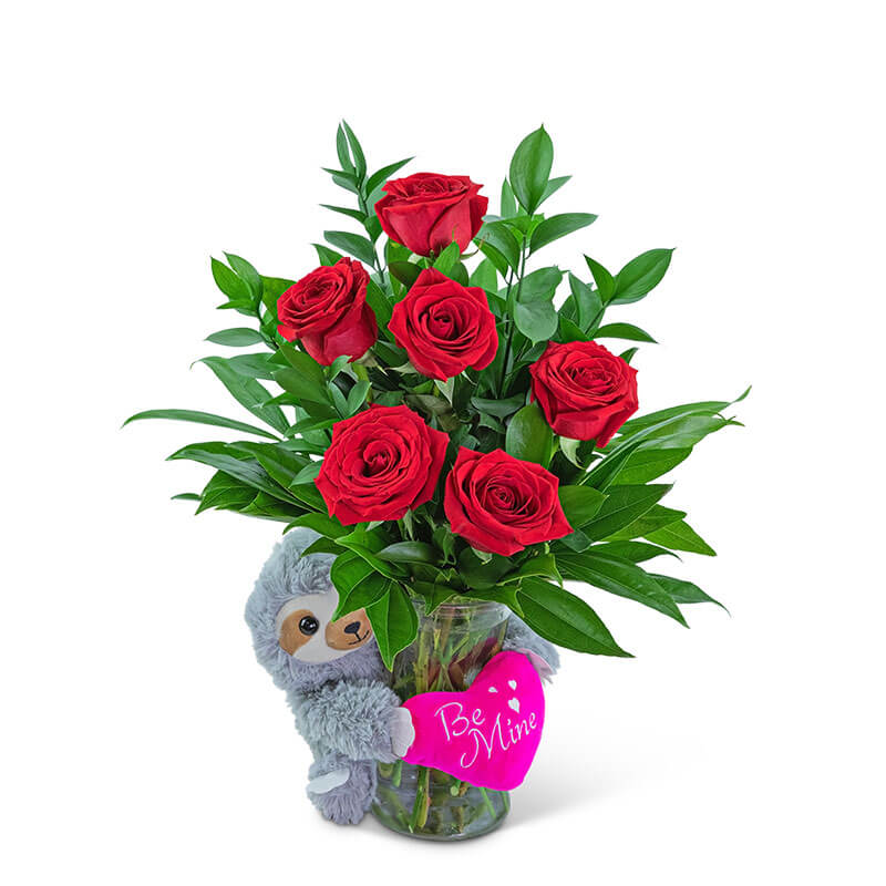 Be Mine Classic Six Red Roses with Sloth :: Keller & Stein