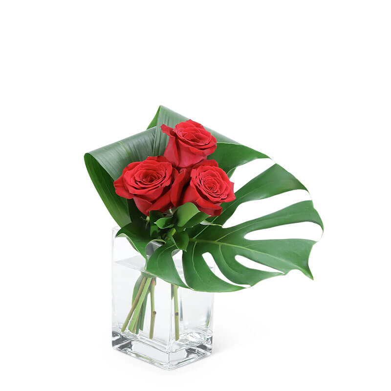 Modern Roses (3) Keller & Stein