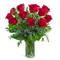 One Dozen Red Hot Roses