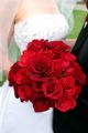 Red Rose Bridal - Comerica Park