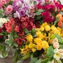 Alstroemeria & Spray Rose Monochromatic Bouquet