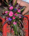 06DSC_9551A.jpg