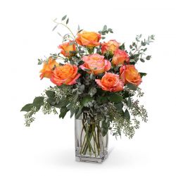 Free Spirit Roses (9)