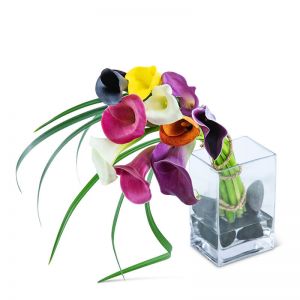 Captivating Calla Lilies