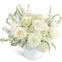 Chantilly Creme