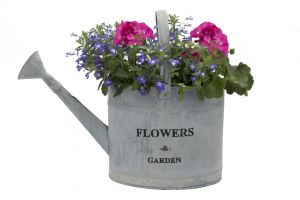 Watering Can