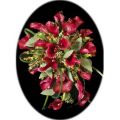 Captivating Calla Lily Bridal Bouquet