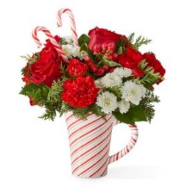 Peppermint Swirl Mug