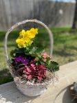 Blooming Basket 