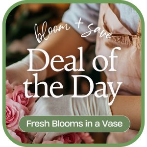 Deal of the Day