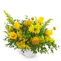 Lush Zest Delight