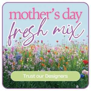 Designer's Choice Mother's Day Arrangement