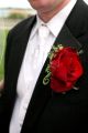 Red Rose Bout - Comerica Park