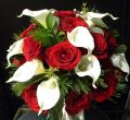 winter2011 001.jpg