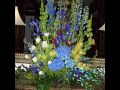 weddings2010 192.jpg