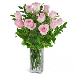 One Dozen Light Pink Roses