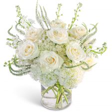 Chantilly Elegance