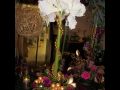 weddings2010 422.jpg