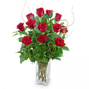 Dozen Red Roses with Willow