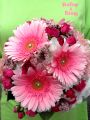 weddings2010 059.jpg