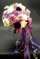 fall2011 095.jpg