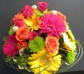 DSCN2964.JPG