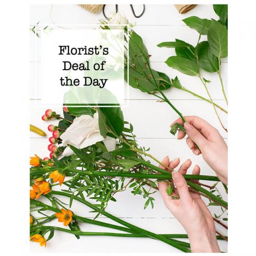 Florist's Deal of the Day Keller & Stein