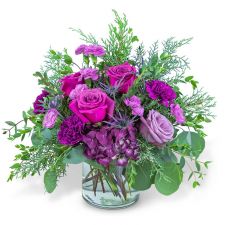 Nordic Magenta