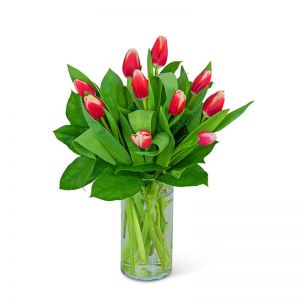 Tigress Tulips