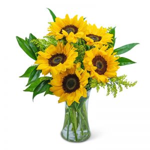 Sprinkle of Sunflowers