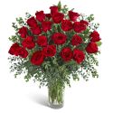 Two Dozen Red Hot Roses