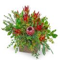 Wild and Lush Protea