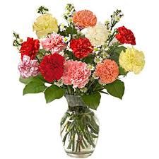 Mixed Carnations