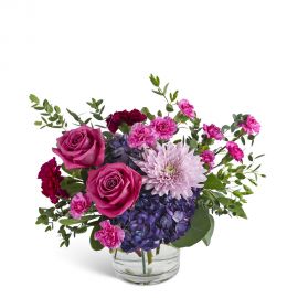 Magenta Muse
